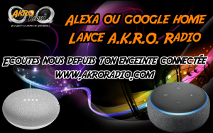 enceinte connectee AkroRadio